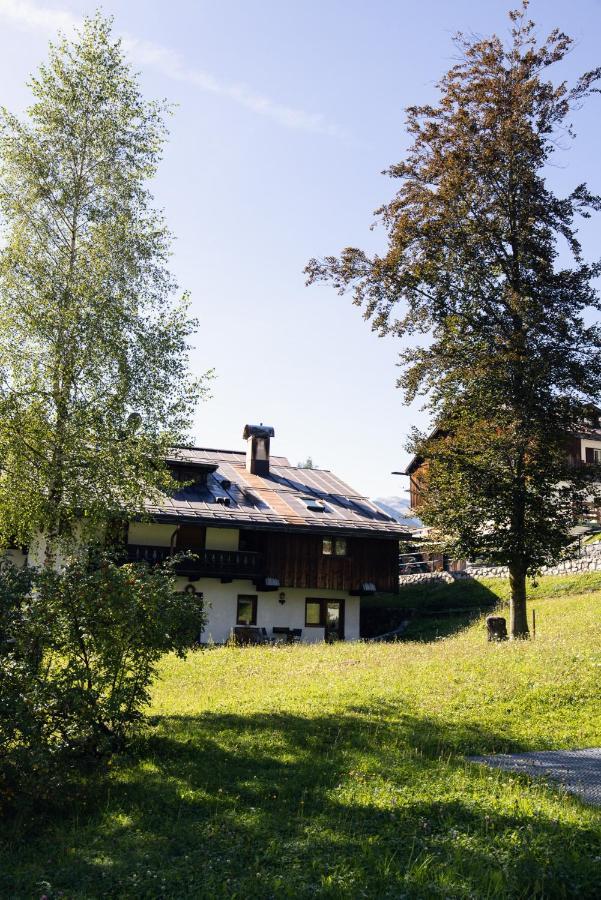코르티나 담페조 Casa Betulla 아파트 외부 사진